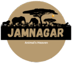 Vantara Jamnagar Logo